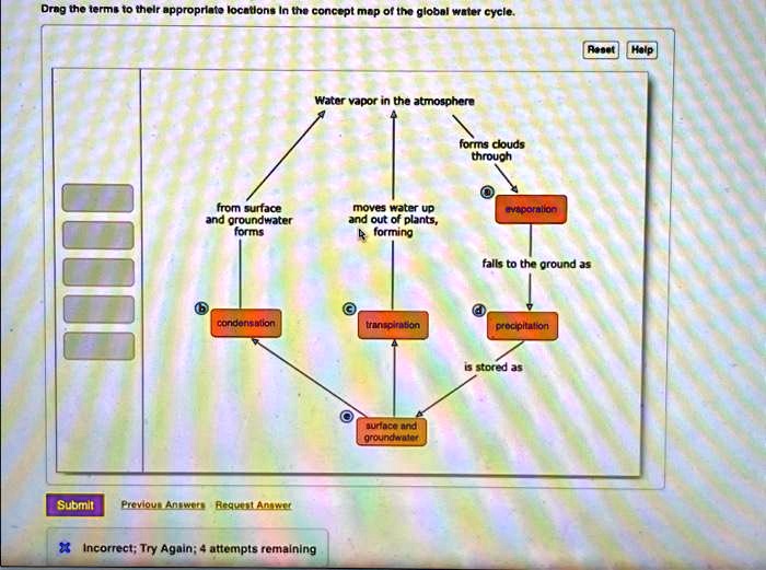 Drag the terms to their appropriate locations in the concept map of the global water cycle