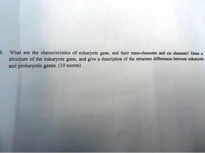 Clements Draw what are the characteristics of eukaryote gene and their trans elements ...