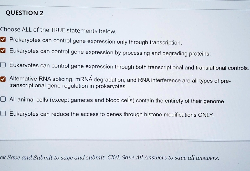 Choose All The Statements That Are True Of Proteins. SOLVED: Choose ALL of the TRUE statements below. Prokaryotes can
