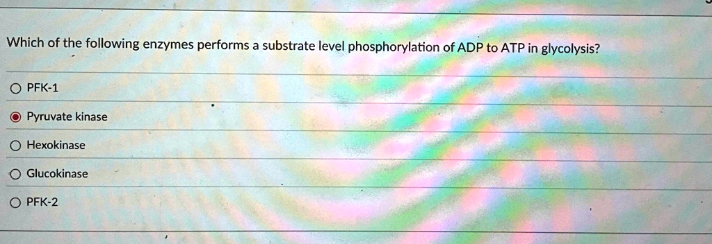 which of the following enzymes performs a substrate level phosphorylation of adp to atp in glycolysis o pfk 1 pyruvate kinase o hexokinase o glucokinase o pfk 2 38404