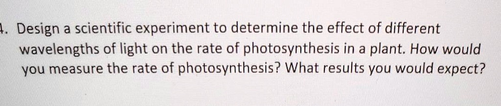 Design a scientific experiment to determine the effect of different wavelengths of light on the rate of photosynthesis in a plant. How would you measure the rate of photosynthesis? What results you would expect?