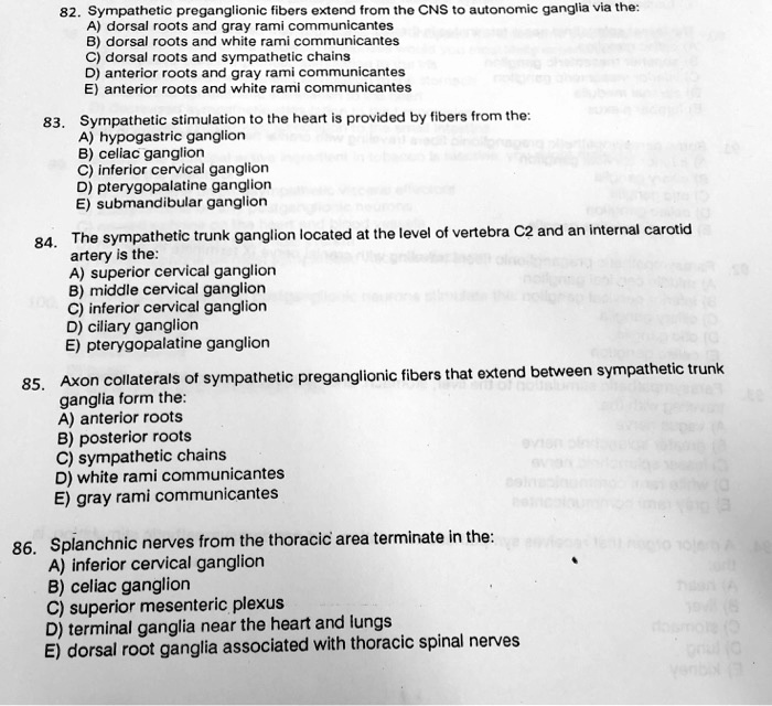 82. Sympathetic preganglionic fibers extend from the CNS to autonomic ganglia via the:
A) dorsal roots and gray rami communicantes
B) dorsal roots and white rami communicantes
C) dorsal roots and sympathetic chains
D) anterior roots and gray rami communicantes
E) anterior roots and white rami communicantes
83. Sympathetic stimulation to the heart is provided by fibers from the:
A) hypogastric ganglion
B) celiac ganglion
C) inferior cervical ganglion
D) pterygopalatine ganglion
E) submandibular ganglion
84. The sympathetic trunk ganglion located at the level of vertebra C2 and an internal carotid
artery is the:
A) superior cervical ganglion
B) middle cervical ganglion
C) inferior cervical ganglion
D) ciliary ganglion
E) pterygopalatine ganglion
85. Axon collaterals of sympathetic preganglionic fibers that extend between sympathetic trunk
ganglia form the:
A) anterior roots
B) posterior roots
C) sympathetic chains
D) white rami communicantes
E) gray rami communicantes
86. Splanchnic nerves from the thoracic area terminate in the:
A) inferior cervical ganglion
B) celiac ganglion
C) superior mesenteric plexus
D) terminal ganglia near the heart and lungs
E) dorsal root ganglia associated with thoracic spinal nerves
