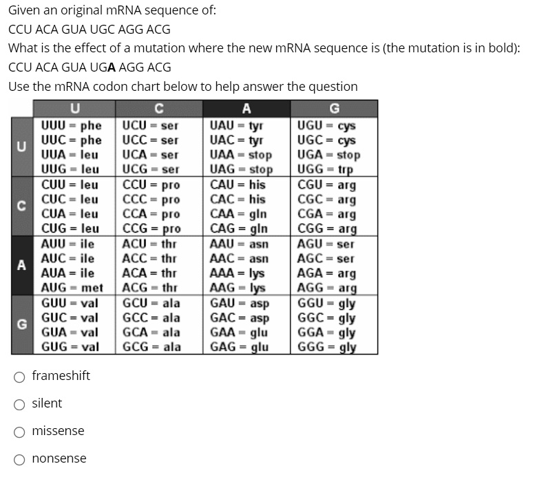 Given an original mRNA sequence of:
CCU ACA GUA UGC AGG ACG
What is the effect of a mutation where the new mRNA sequence is (the mutation is in bold):
CCU ACA GUA UGA AGG ACG
Use the mRNA codon chart below to help answer the question
U
C
A
G
UUU = phe
UCU = ser
UAU = tyr
UGU = cys
UUC = phe
UCC = ser
UAC = tyr
UGC = cys
UUA = leu
UCA = ser
UAA = stop
UGA = stop
UUG = leu
UCG = ser
UAG = stop
UGG = trp
CUU = leu
CCU = pro
CAU = his
CGU = arg
CUC = leu
CCC = pro
CAC = his
CGC = arg
CUA = leu
CCA = pro
CAA = gln
CGA = arg
CUG = leu
CCG = pro
CAG = gln
CGG = arg
AUU = ile
ACU = thr
AAU = asn
AGU = ser
AUC = ile
ACC = thr
AAC = asn
AGC = ser
AUA = ile
ACA = thr
AAA = lys
AGA = arg
AUG = met
ACG = thr
AAG = lys
AGG = arg
GUU = val
GCU = ala
GAU = asp
GGU = gly
GUC = val
GCC = ala
GAC = asp
GGC = gly
GUA = val
GCA = ala
GAA = glu
GGA = gly
GUG = val
GCG = ala
GAG = glu
GGG = gly
frameshift
silent
missense
nonsense