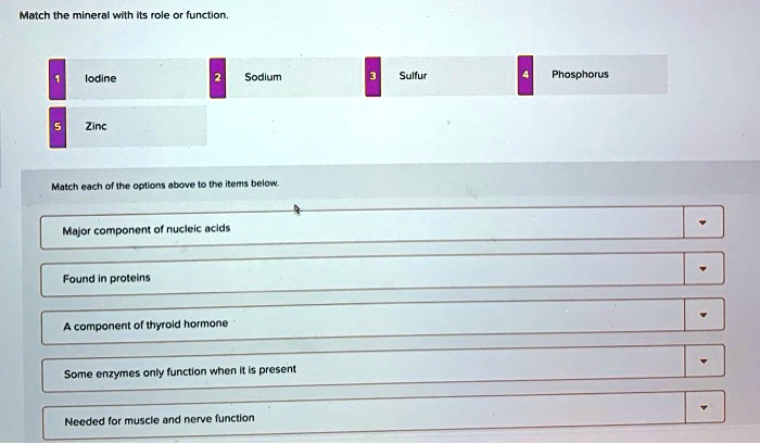 Match the mineral with its role or function.

1 Iodine
2 Sodium
3 Sulfur
4 Phosphorus
5 Zinc

Match each of the options above to the items below.

Major component of nucleic acids
Found in proteins
A component of thyroid hormone
Some enzymes only function when it is present
Needed for muscle and nerve function