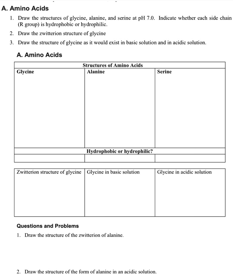 A. Amino Acids 1. Draw the structures of glycine, alanine, and serine ...