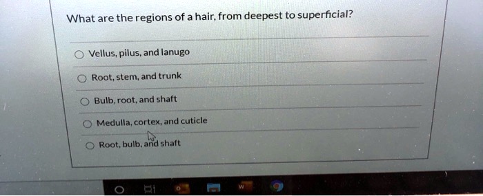What are the regions of a hair, from deepest to superficial?
Vellus, pilus, and lanugo
Root, stem, and trunk
Bulb, root, and shaft
Medulla, cortex, and cuticle
Root, bulb, and shaft