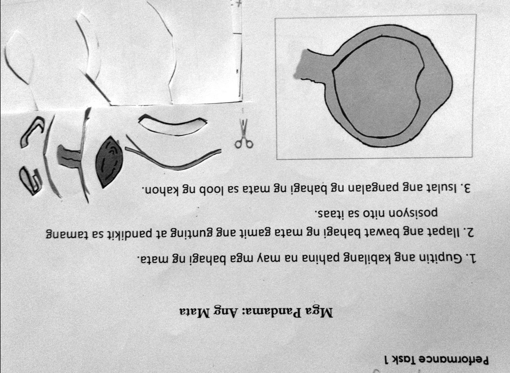 Solved Performance Task 1 Mga Pandama Ang Mata 1 Gupitin Ang Kabilang Pahina Na May Mga 5940