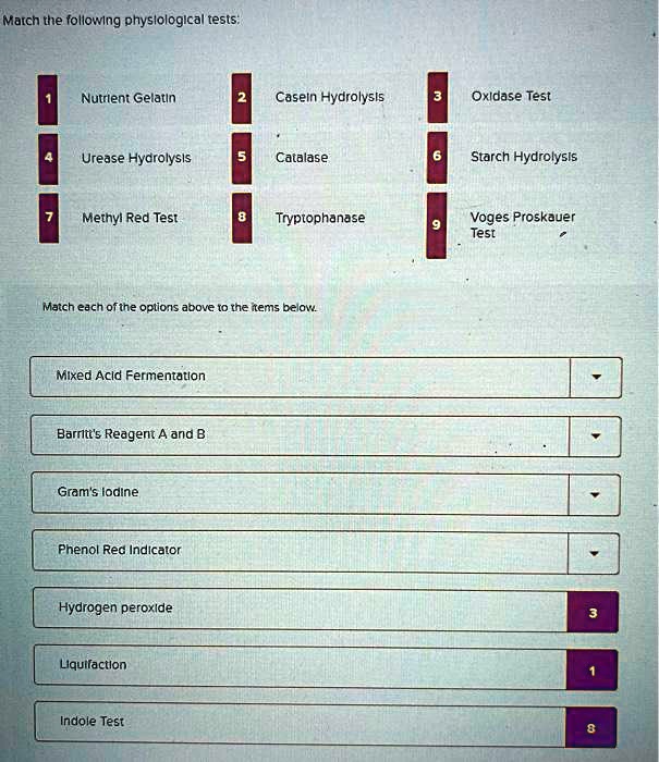 SOLVED Text Microbiology Testing Match the following physiological