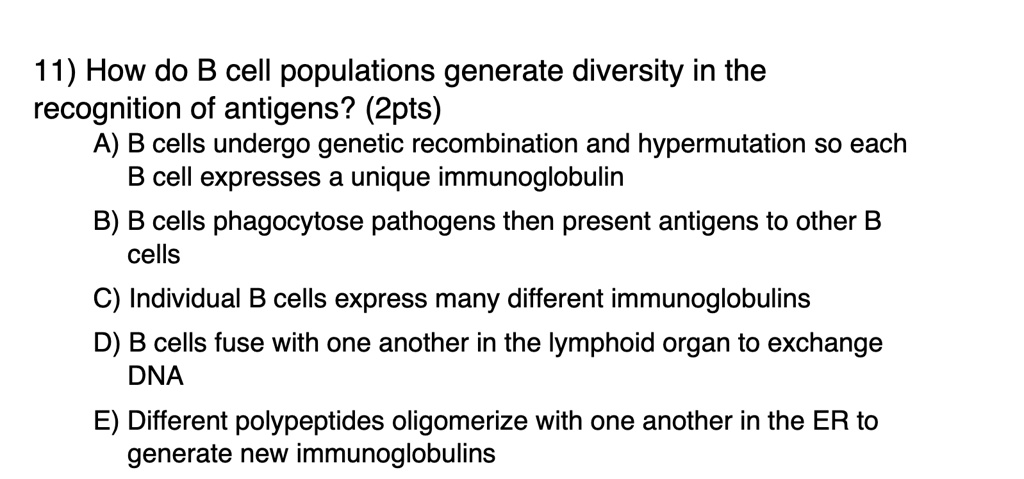 SOLVED: 11) How Do B Cell Populations Generate Diversity In The ...