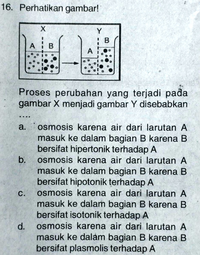 Solved Tolong Bantu Jawab Ya Kak Nanti Dikumpulkan Soalnya 16