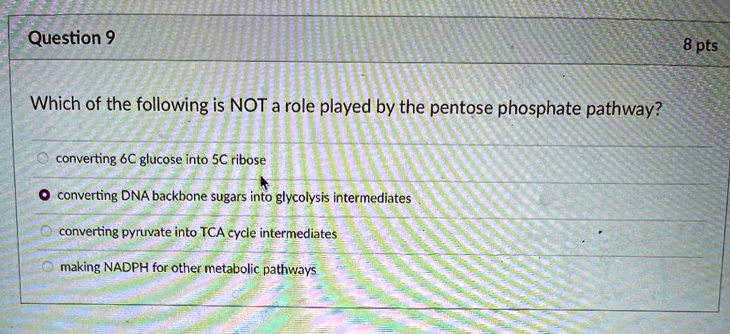 Question 9 8 pts which of the following is not a role played...