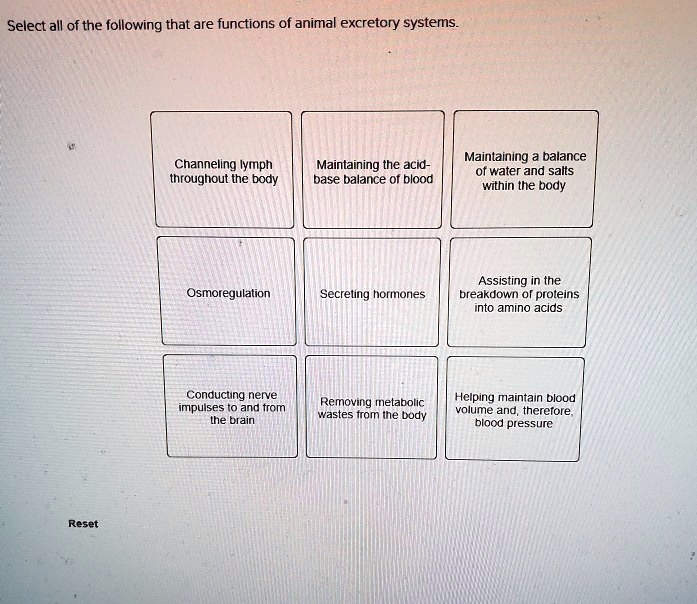 Select all of the following that are functions of animal excretory systems.
Channeling lymph throughout the body
Maintaining the acid-base balance of blood
Maintaining a balance of water and salts within the body
Osmoregulation
Secreting hormones
Assisting in the breakdown of proteins into amino acids
Conducting nerve impulses to and from the brain
Removing metabolic wastes from the body
Helping maintain blood volume and, therefore, blood pressure