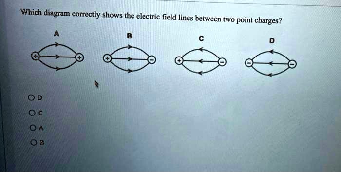 SOLVED: Which diagram correctly shows the electric field lines between ...