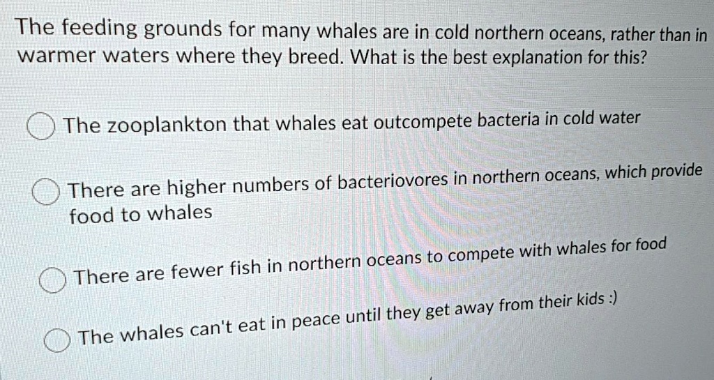 The feeding grounds for many whales are in cold northern oceans, rather than in warmer waters where they breed. What is the best explanation for this?

The zooplankton that whales eat outcompete bacteria in cold water

There are higher numbers of bacteriovores in northern oceans, which provide food to whales

There are fewer fish in northern oceans to compete with whales for food

The whales can't eat in peace until they get away from their kids :)
