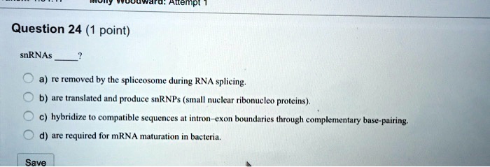 snRNAs  ?
a) re removed by the spliceosome during RNA splicing.
b) are translated and produce snRNPs (small nuclear ribonucleo proteins).
c) hybridize to compatible sequences at intron—exon boundaries through complementary base-pairing.
d) are required for mRNA maturation in bacteria.