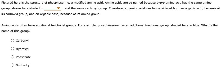 phosphate functional group example