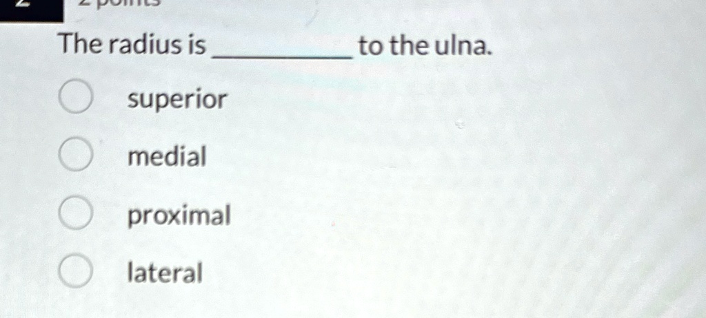 The radius is to the ulna. superior medial proximal lateral The radius ...