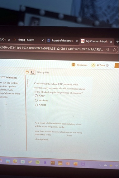 2 ch chegg search is part of the citric my course introdu d950 dd73 11e0 9572 0800200c9a6633c331a2 0bb1 448f 9ec9 70b15c3dc190 resources ai tutor side by side etc inhibitors rs you are looki 47535