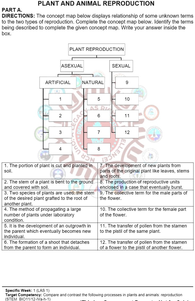 PLANT AND ANIMAL REPRODUCTION PART A - DIRECTIONS: The concept map ...