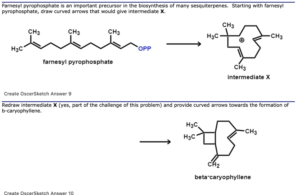 Farnesyl pyrophosphate is an important precursor in the biosynthesis of many sesquiterpenes. Starting with farnesyl pyrophosphate, draw curved arrows that would give intermediate X. farnesyl pyrophosphate intermediate X Redraw intermediate X (yes, part of the challenge of this problem) and provide curved arrows towards the formation of b-caryophyllene. beta-caryophyllene
