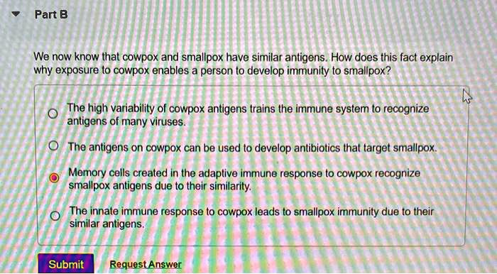 Part B
We now know that cowpox and smallpox have similar antigens. How does this fact explain why exposure to cowpox enables a person to develop immunity to smallpox?

The high variability of cowpox antigens trains the immune system to recognize antigens of many viruses.
The antigens on cowpox can be used to develop antibiotics that target smallpox.
Memory cells created in the adaptive immune response to cowpox recognize smallpox antigens due to their similarity.
The innate immune response to cowpox leads to smallpox immunity due to their similar antigens.
