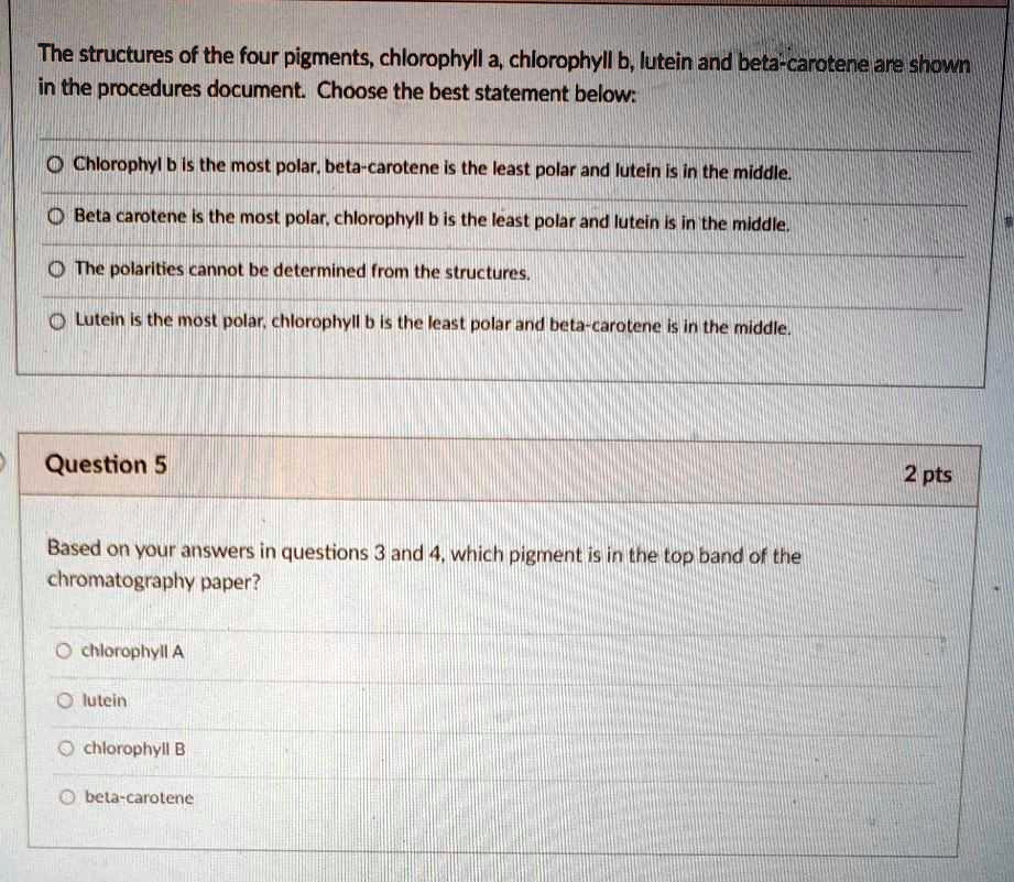 the structures of the four pigments chlorophyll a chlorophyll b lutein ...