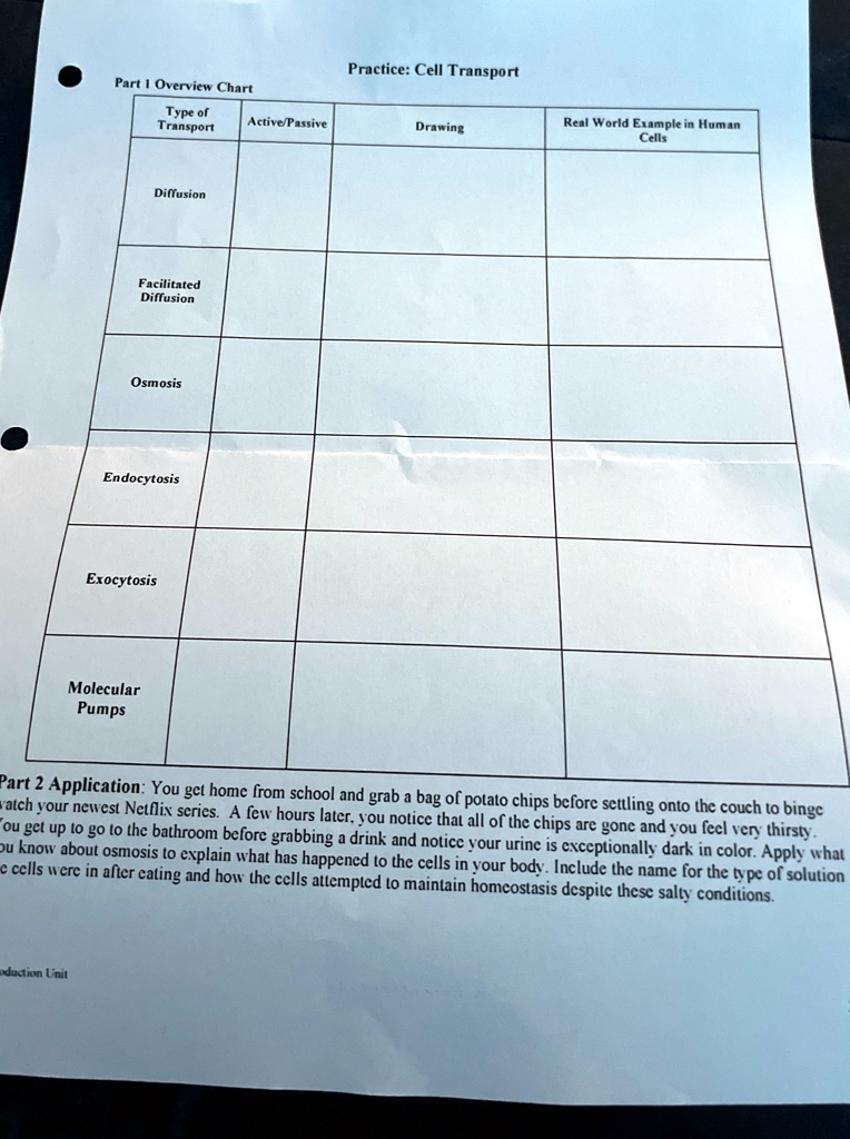 Part 1 Overview Chart Type of Transport Active/Passive Diffusion