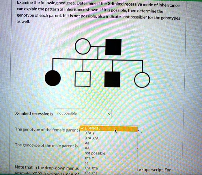 Solved: Examine The Following Pedigree. Determine If The X-linked 