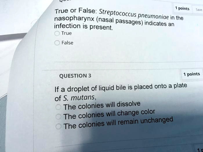 True or False: Streptococcus pneumoniae in the nasopharynx (nasal passages) indicates an infection is present.
True
False

QUESTION 3
If a droplet of liquid bile is placed onto a plate of S. mutans,
The colonies will dissolve
The colonies will change color
The colonies will remain unchanged