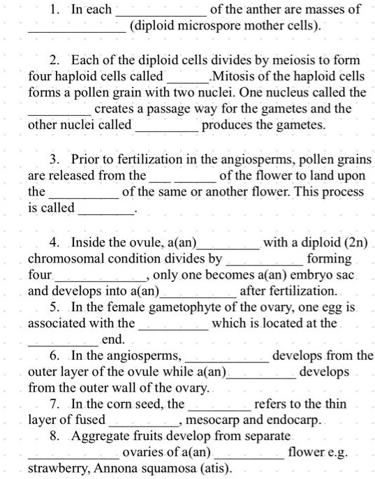 1. In each  of the anther are masses of  (diploid microspore mother cells).

2. Each of the diploid cells divides by meiosis to form four haploid cells called .Mitosis of the haploid cells forms a pollen grain with two nuclei. One nucleus called the  creates a passage way for the gametes and the other nuclei called  produces the gametes.

3. Prior to fertilization in the angiosperms, pollen grains are released from the  of the flower to land upon the  of the same or another flower. This process is called .

4. Inside the ovule, a(an)  with a diploid (2n) chromosomal condition divides by  forming four , only one becomes a(an) embryo sac and develops into a(an)  after fertilization.
5. In the female gametophyte of the ovary, one egg is associated with the  which is located at the  end.
6. In the angiosperms,  develops from the outer layer of the ovule while a(an)  develops from the outer wall of the ovary.
7. In the corn seed, the  refers to the thin layer of fused , mesocarp and endocarp.
8. Aggregate fruits develop from separate  ovaries of a(an)  flower e.g. strawberry, Annona squamosa (atis).