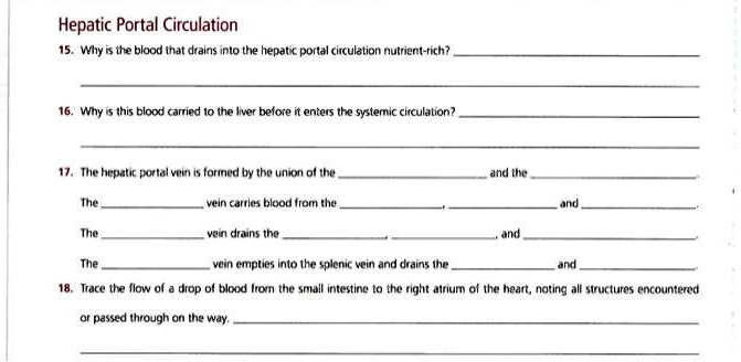 Hepatic Portal Circulation
15. Why is the blood that drains into the hepatic portal circulation nutrient-rich?
16. Why is this blood carried to the liver before it enters the systemic circulation?
17. The hepatic portal vein is formed by the union of the
and the
The
vein carries blood from the
and
The
vein drains the
and
The
vein empties into the splenic vein and drains the
and
18. Trace the flow of a drop of blood from the small intestine to the right atrium of the heart, noting all structures encountered
or passed through on the way.