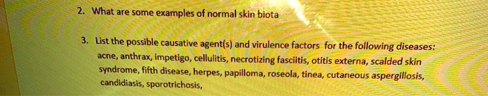 SOLVED: What are some examples of normal skin biota List the possible ...