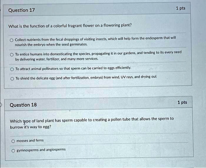 Question 17
What is the function of a colorful fragrant flower on a flowering plant?
Collect nutrients from the fecal droppings of visiting insects, which will help form the endosperm that will nourish the embryo when the seed germinates.
To entice humans into domesticating the species, propagating it in our gardens, and tending to its every need by delivering water, fertilizer, and many more services.
To attract animal pollinators so that sperm can be carried to eggs efficiently.
To shield the delicate egg (and after fertilization, embryo) from wind, UV rays, and drying out
Question 18
Which type of land plant has sperm capable of creating a pollen tube that allows the sperm to burrow it's way to egg?
mosses and ferns
gymnosperms and angiosperms