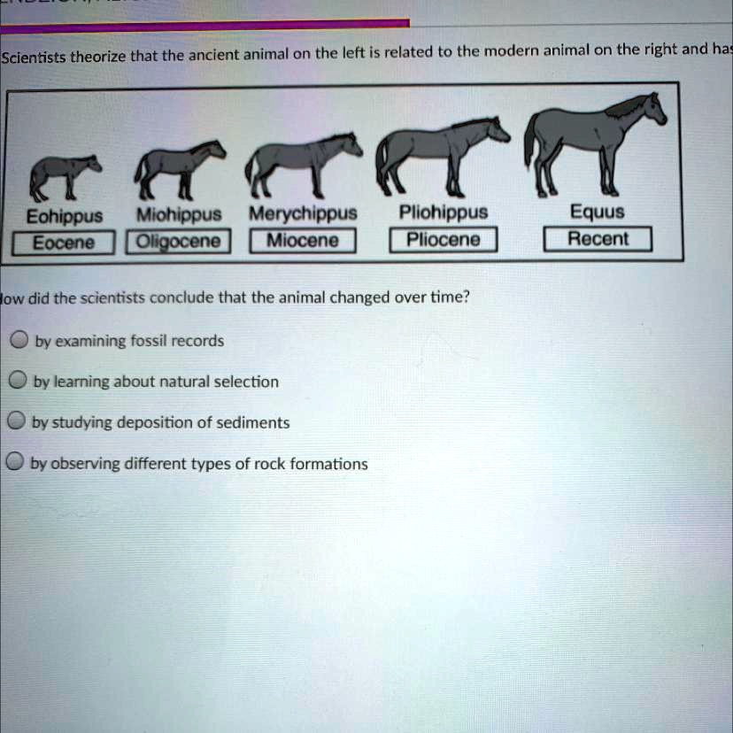 SOLVED: 'ANSWER QUICK! GIVING 20 POINTS! How did the scientists conclude  that the animal changed over time? Scientists theorize that the ancient  animal on the left is related to the modern animal