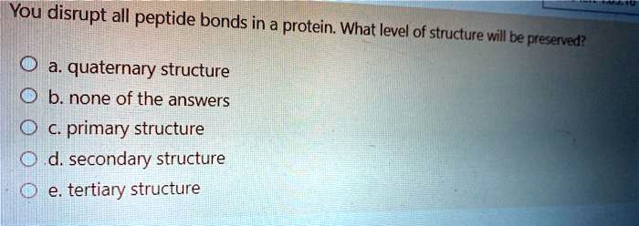 You Disrupt All Hydrogen Bonds In A Protein
