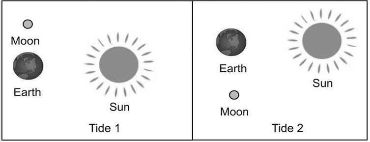 Differences Between Tide Types SOLVED: