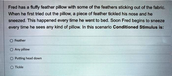 Feathers sticking best sale out of pillow