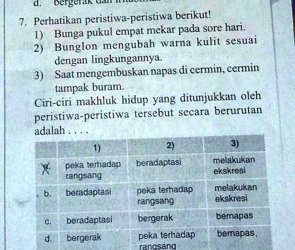 SOLVED: •tolong Di Jawab Dengan Tepat Ya...terimakasih☺• 4an L1 ...