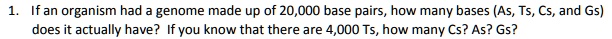 1. If an organism had a genome made up of 20,000 base pairs, how many bases (As, Ts, Cs, and Gs) does it actually have? If you know that there are 4,000 Ts, how many Cs? As? Gs?