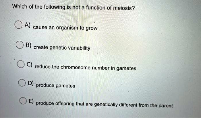Which of the following is not a function of meiosis?

A) cause an organism to grow

B) create genetic variability

C) reduce the chromosome number in gametes

D) produce gametes

E) produce offspring that are genetically different from the parent