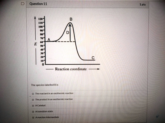 questlon 11 pts 1 reaction coordinate the species labelled b is the reactant in an exothcrmic reaction nroduchinanexothcnnicre ctioi catalyst pransition ttale anenctlonintrnedlate 23324