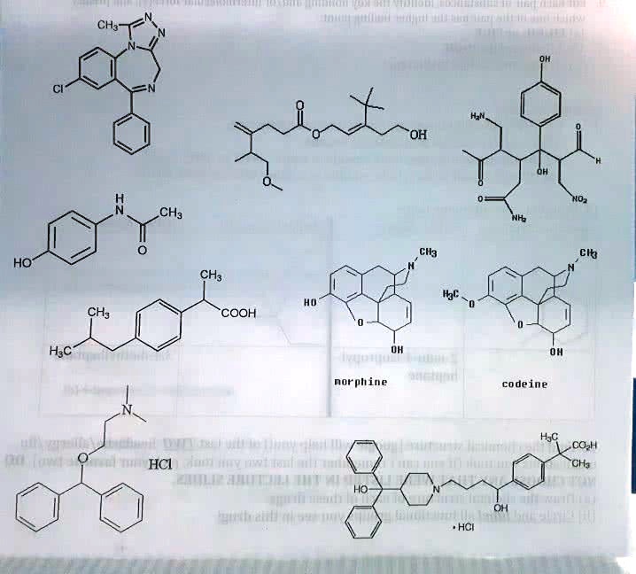 SOLVED: Circle and name all functional groups (tips for not missing any ...