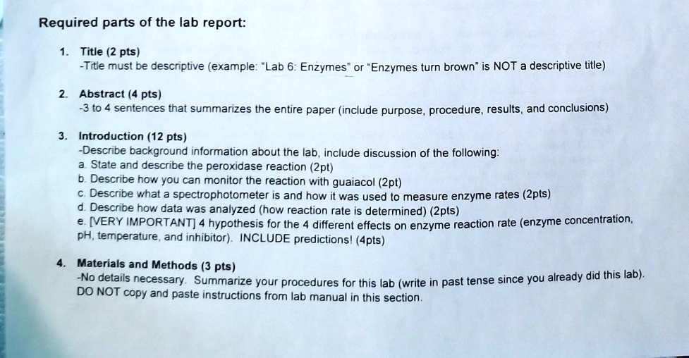 enzyme lab report example