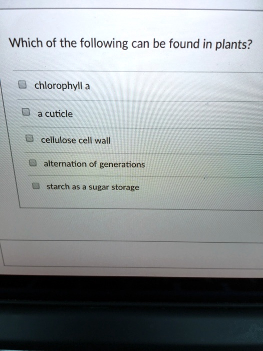 Which of the following can be found in plants?
chlorophyll a
a cuticle
cellulose cell wall
alternation of generations
starch as a sugar storage