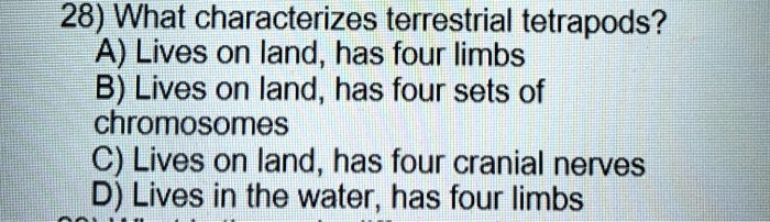 SOLVED: 28) What characterizes terrestrial tetrapods? A) Lives on land