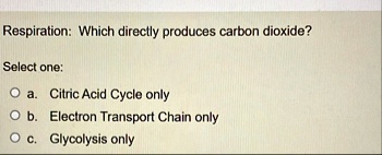 respiration which directly produces carbon dioxide select one a citric acid cycle only b electron transport chain only c glycolysis only 00402