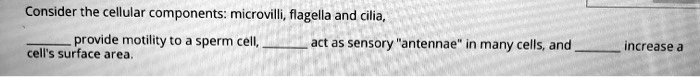 Consider the cellular components: microvilli, flagella and cilia,

 provide motility to a sperm cell,  act as sensory "antennae" in many cells, and  increase a cell's surface area.