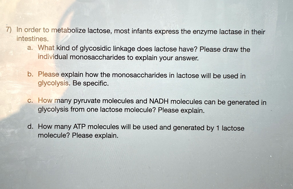 7) In order to metabolize lactose, most infants express the enzyme lactase in their intestines.
a. What kind of glycosidic linkage does lactose have? Please draw the individual monosaccharides to explain your answer.
b. Please explain how the monosaccharides in lactose will be used in glycolysis. Be specific.
c. How many pyruvate molecules and NADH molecules can be generated in glycolysis from one lactose molecule? Please explain.
d. How many ATP molecules will be used and generated by 1 lactose molecule? Please explain.