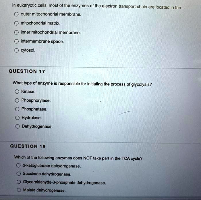 The Enzymes Of Glycolysis In A Eukaryotic Cell Are Located In The at ...