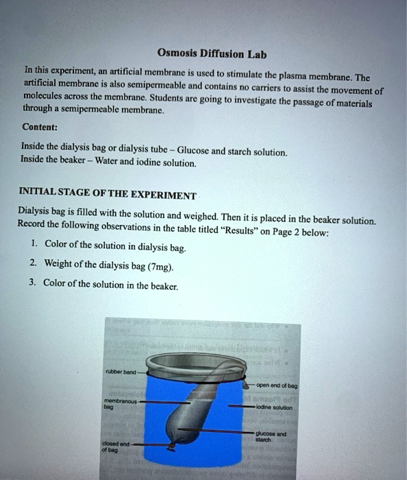 osmosis experiment dialysis tubing